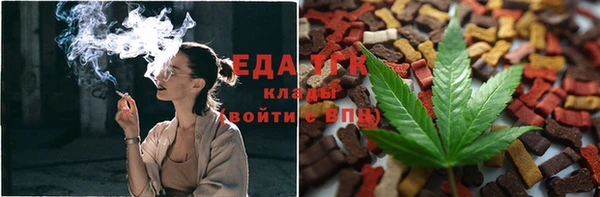 ГАЛЛЮЦИНОГЕННЫЕ ГРИБЫ Аркадак