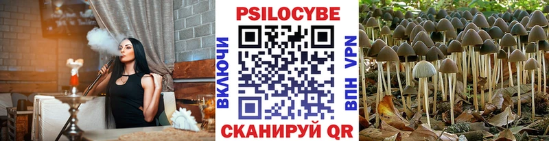 Псилоцибиновые грибы Magic Shrooms  Тутаев 